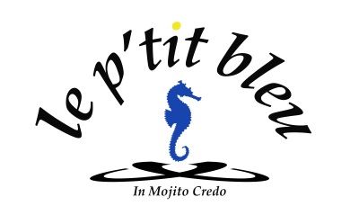 logo-ptit-bleu-3